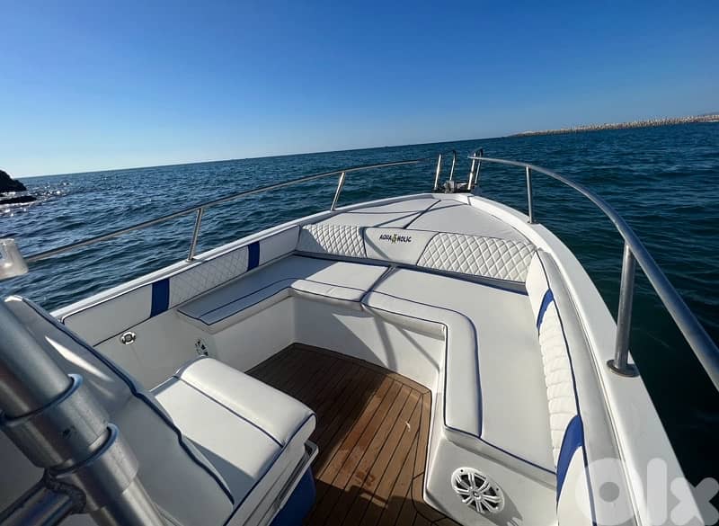 boat 31 feet for sale 1