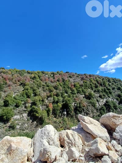 Land for sale in Assia Batroun عقار للييع في اسيا البترون