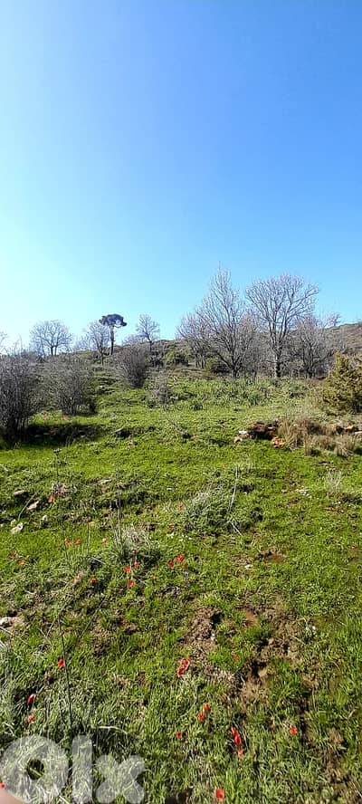 Land for sale in Kfardebianعقار للبيع في كفردبيان