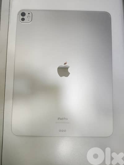 apple ipad pro m4 13 inch used