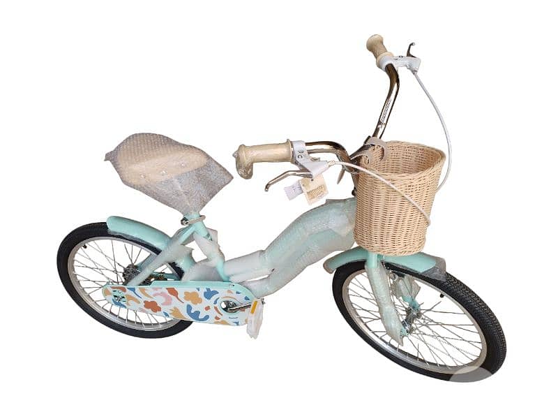 20 inch bicycle 3