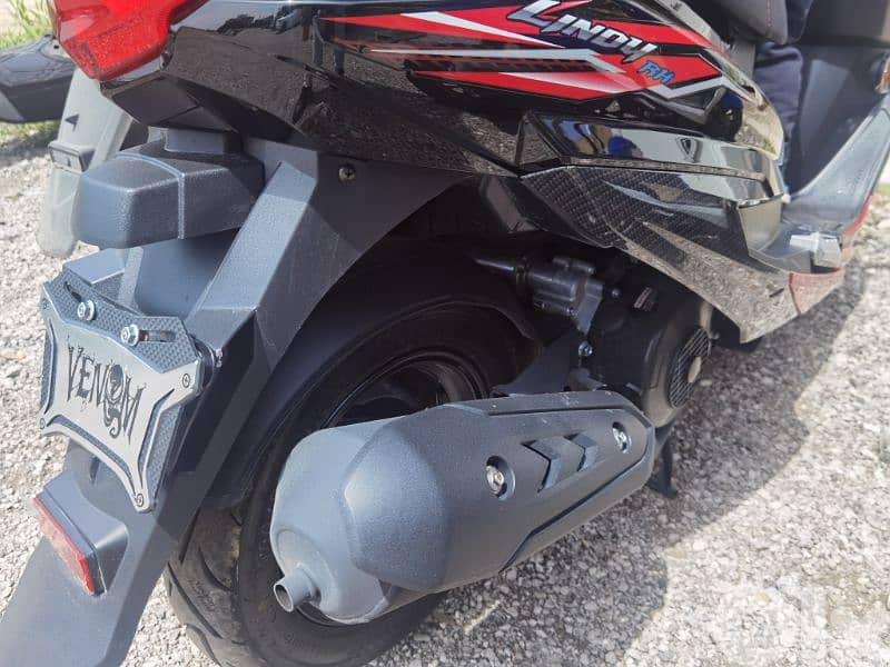 lindy venom digital 1