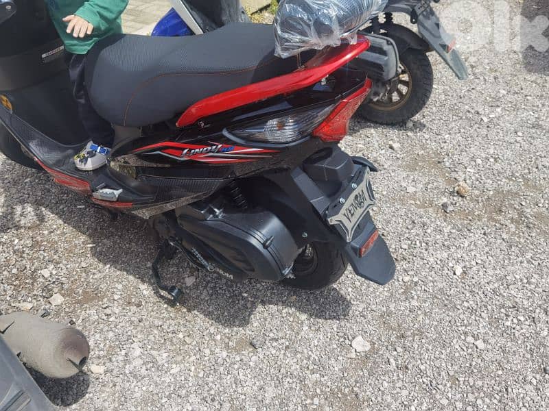 lindy venom digital 2