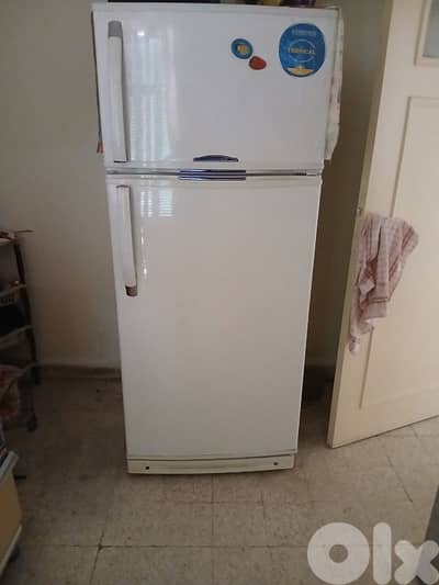 Fridge