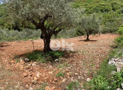 GMB249SZ - Land For Sale In Bejjeh - أرض  للبيع في بجه