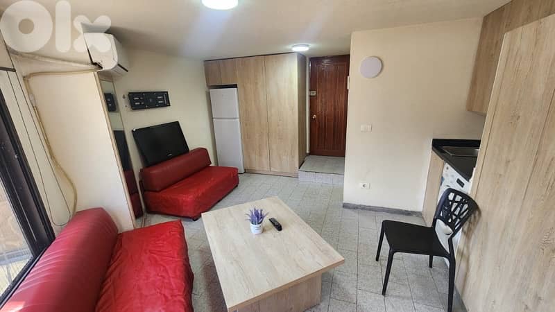 Furnished Studio Chalet for rent in Kaslik 1
