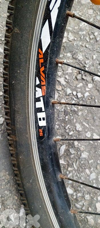 alvas mountain bike 1
