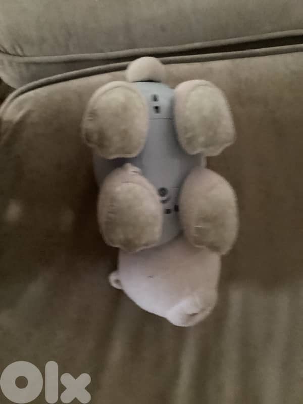 Starlight Sounds Polar Bear 5