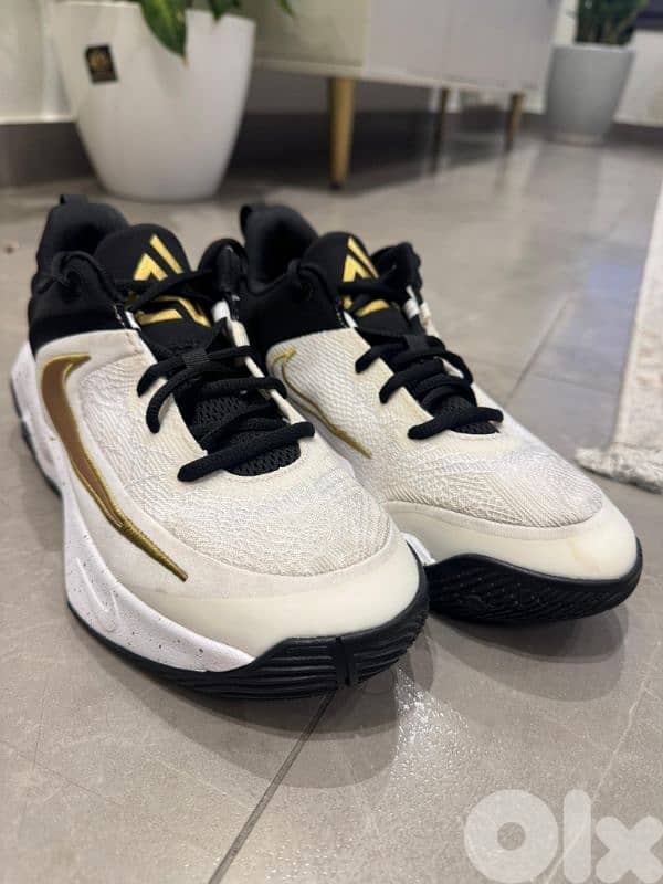 Nike Giannis Immortality 4 size 39 (basketball shoes) 1