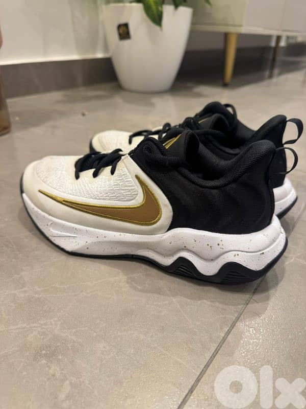 Nike Giannis Immortality 4 size 39 (basketball shoes) 2
