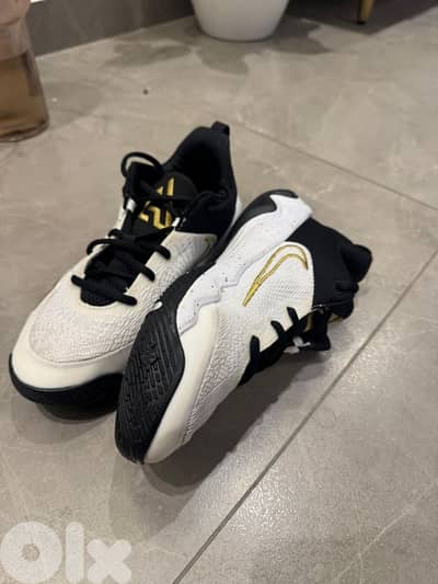 Nike Giannis Immortality 4 size 39 (basketball/sports shoes)