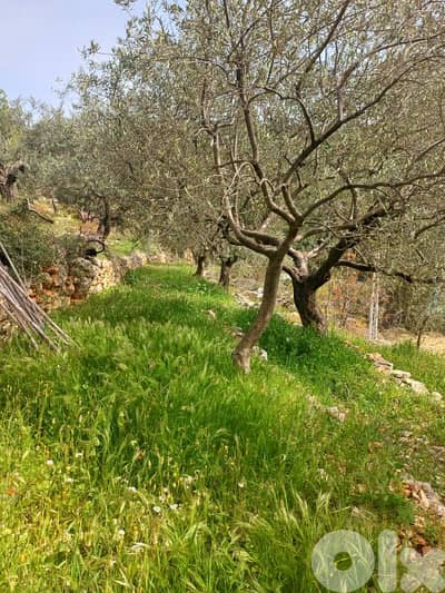 lands for sale at Autostrade Assia. ارض"لقطة" للبيع على اوتوستراد  أسيا