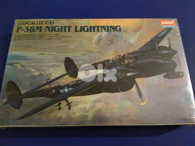 Professional Plastic Models 1