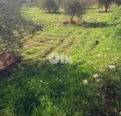 أرض للبيع في قريطم بيروت   land for sale in kraytem