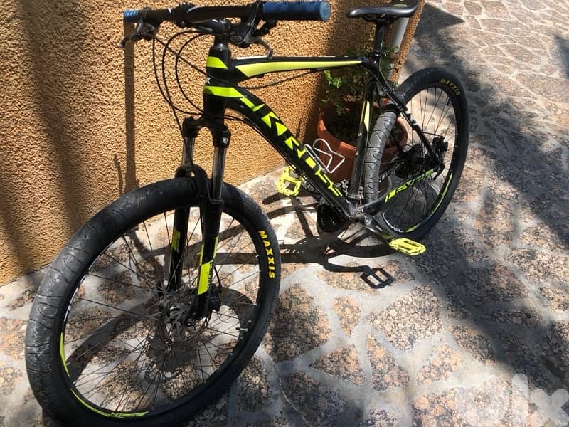 Maxxis hook worms 28” 1