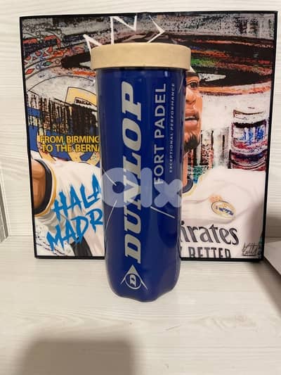 padel pall dunlop fort padel