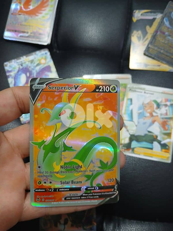 POKEMON Card's - RARE Collection 7