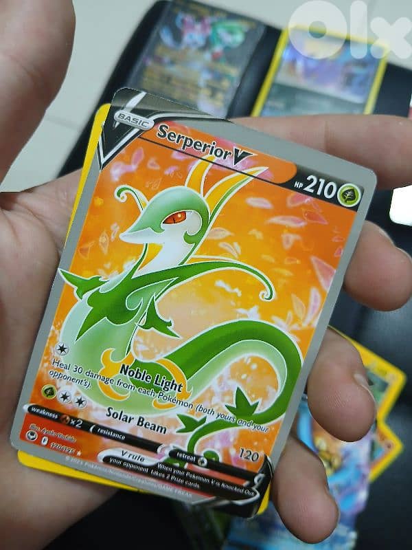 POKEMON Card's - RARE 8