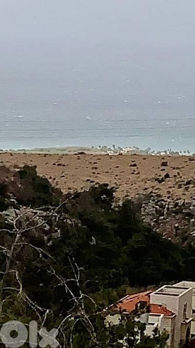 land for sale  ارض للبيع