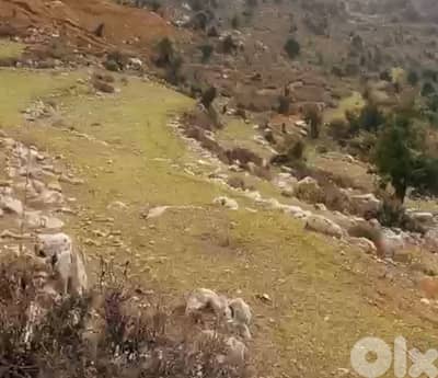 lands for sale in Lassa-Jbeilأرض للبيع في لاسا-جبيل