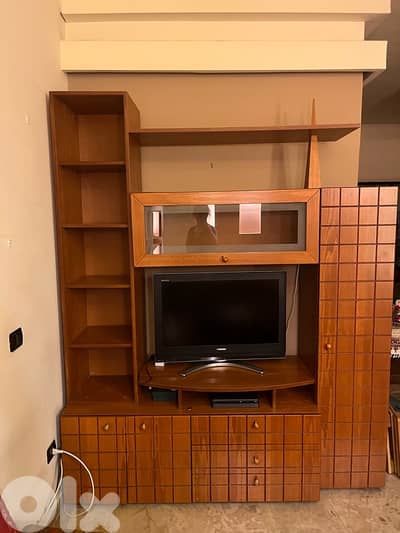 TV closet & book shelves