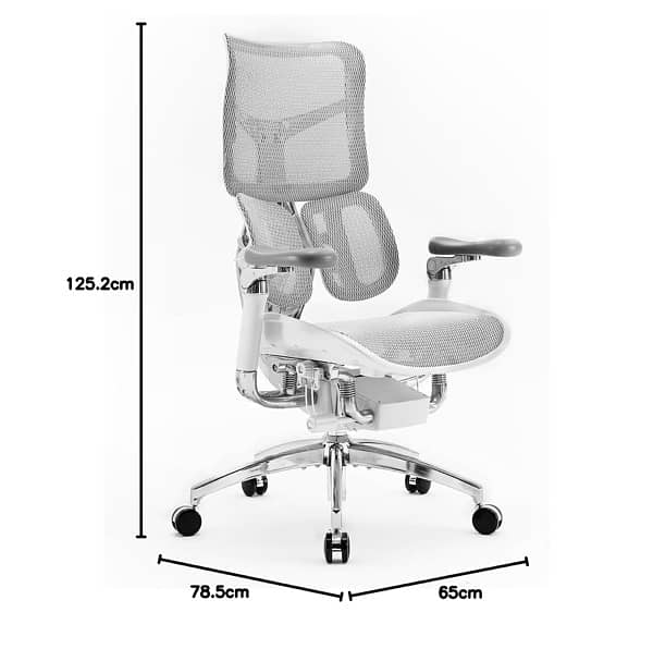 sihoo doro s300 pro 2