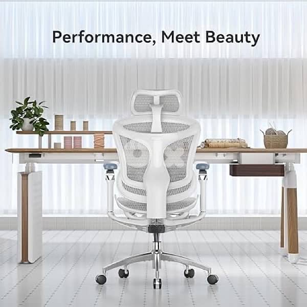 sihoo doro c300 pro 2