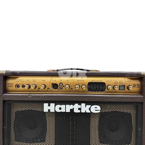 Hartke Guitar Amp - Acoustic 2