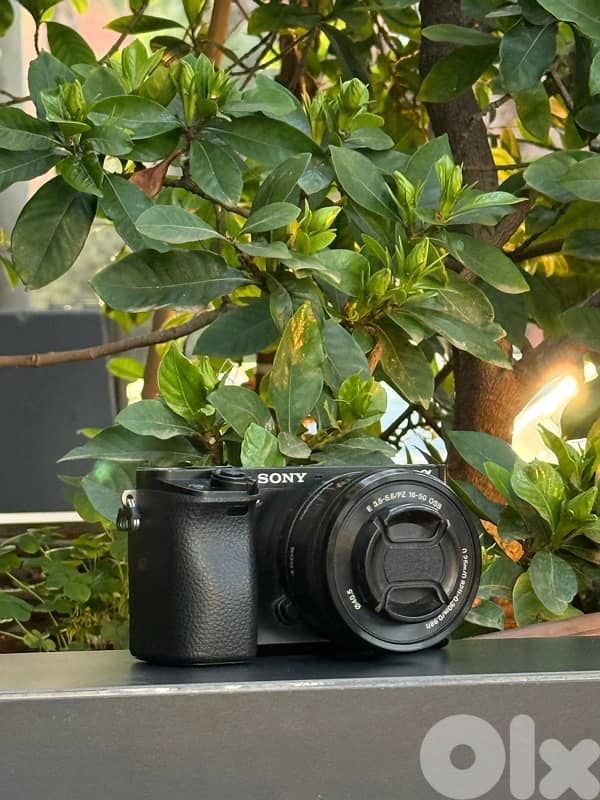 Sony A6000 with 16-55mm 3.5f kit lense and 55-210mm lense 3