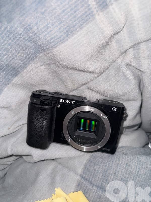 Sony A6000 with 16-55mm 3.5f kit lense and 55-210mm lense 4