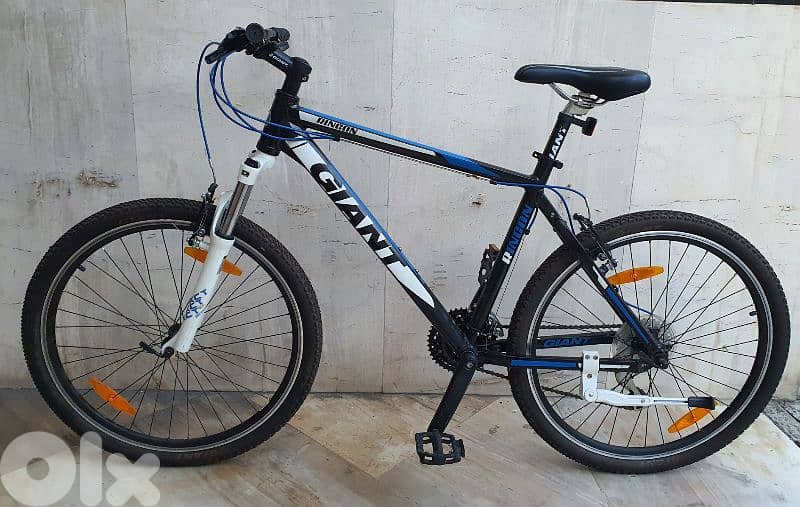 Giant Rincon Size M/L full Aluminium 1