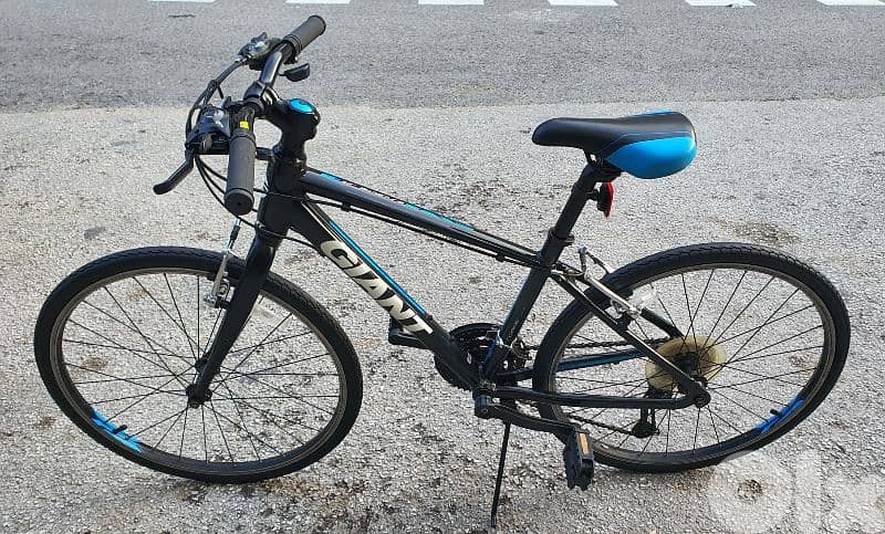 Giant Revel 24" full Aluminium 1