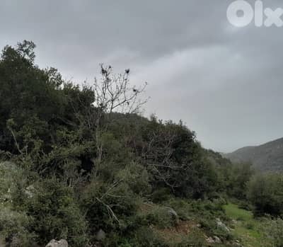 Huge land for sale in Blat, Jbeil أرض شاسعة للبيع في بلاط، جبيل