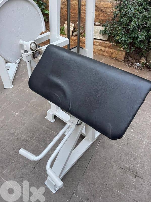 Biceps Machine - Like New 2