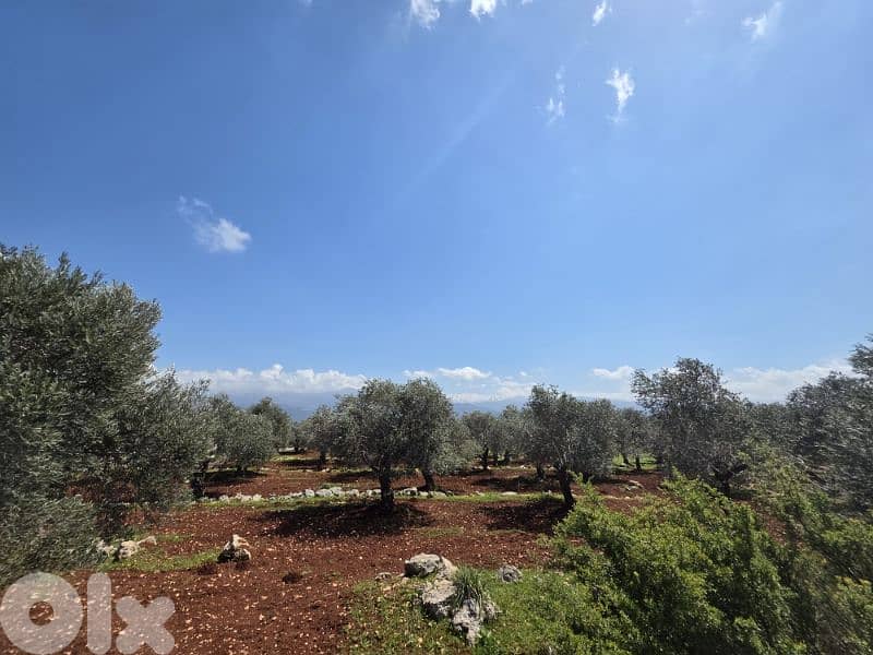 RWB189CC - Land for sale in Nakhle Koura 2