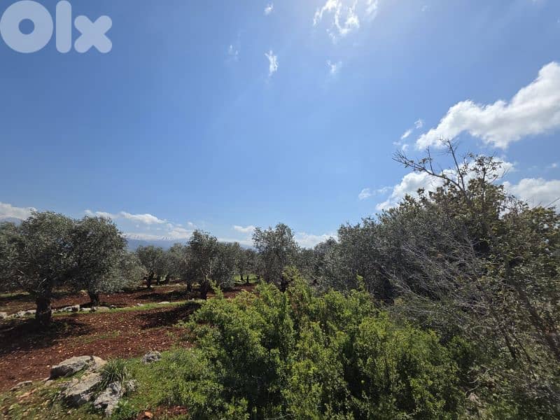 RWB189CC - Land for sale in Nakhle Koura 3