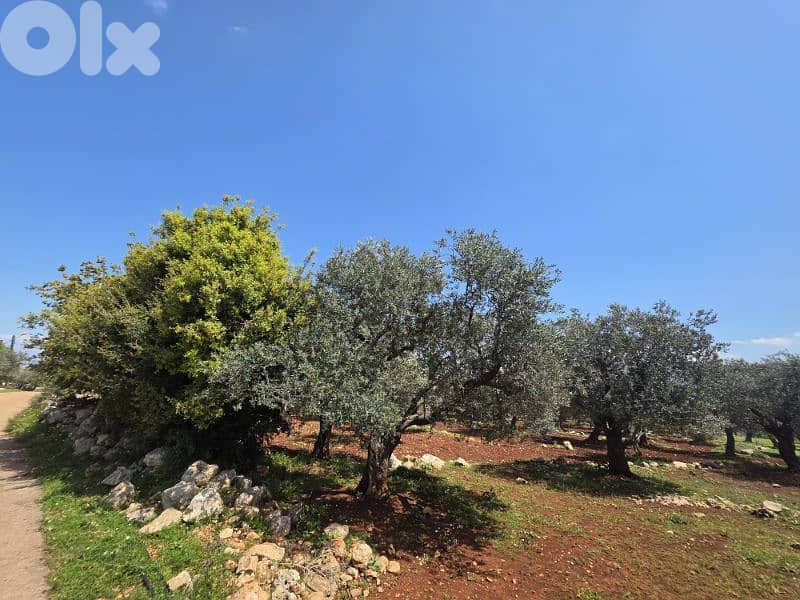 RWB189CC - Land for sale in Nakhle Koura 4