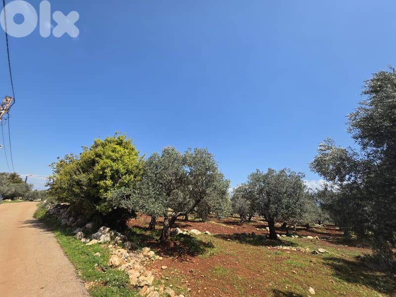 RWB189CC - Land for sale in Nakhle Koura 5