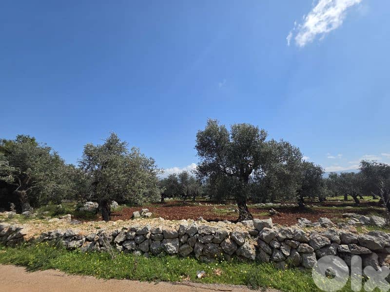 RWB189CC - Land for sale in Nakhle Koura 6