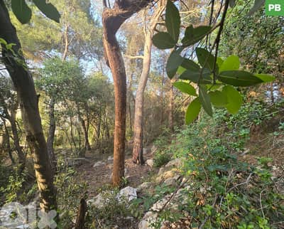 PRIME LOCATION ,HBOUS - CORNET CHEHWAN/حبوس - قرنة شهوان REF#PB135108