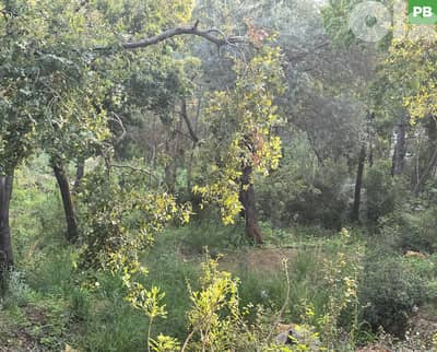 CALM AREA,SEA VIEW,HBOUS CORNET CHEHWAN/حبوس - قرنة شهوان REF#PB135109