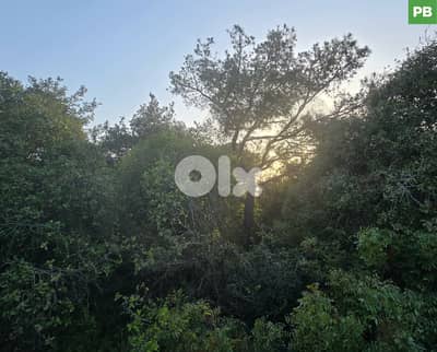 Prime Location in Hbous Cornet Chehwan/حبوس - قرنة شهوان REF#PB135113