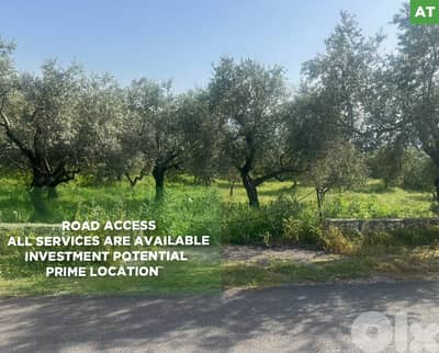 Investment potential , Koura-Bziza/كورة - بزيزا REF#AT135115