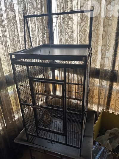 قفص ييغاء كبير
