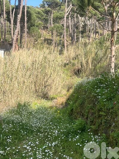 ارض للبيع في اغميد