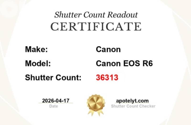 canon eos r6, body 7