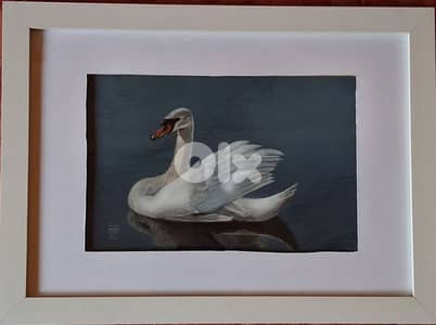 swan soft pastel painting لوحة رسم يد بالباستال