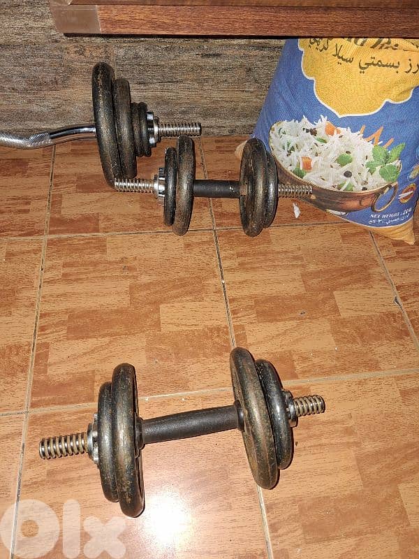 dumbells 1
