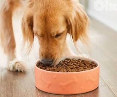 اكل للكلاب ٢٠ كيلو