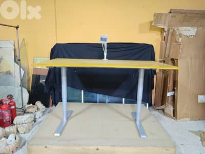 Working / Office Standing Desk Electric